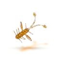 Isca Artificial AjiBeast